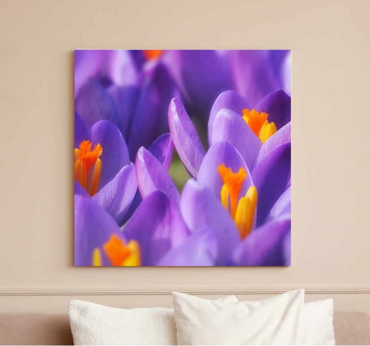 Flowers canvas vibrant crocus blooms canvas art - TenStickers
