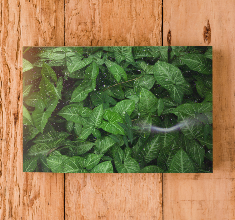 Flowers canvas with lush green foliage - TenStickers