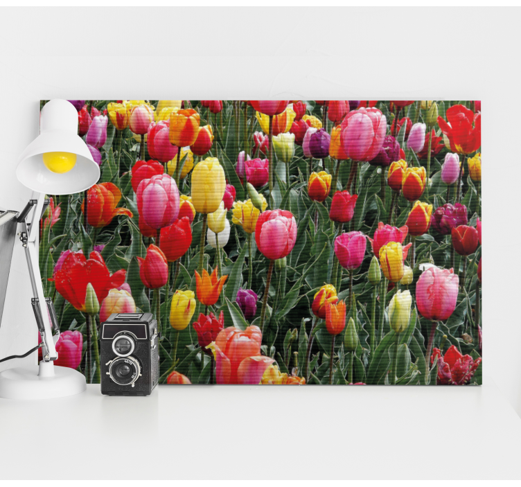 Multiple tulips in a field flower canvas - TenStickers
