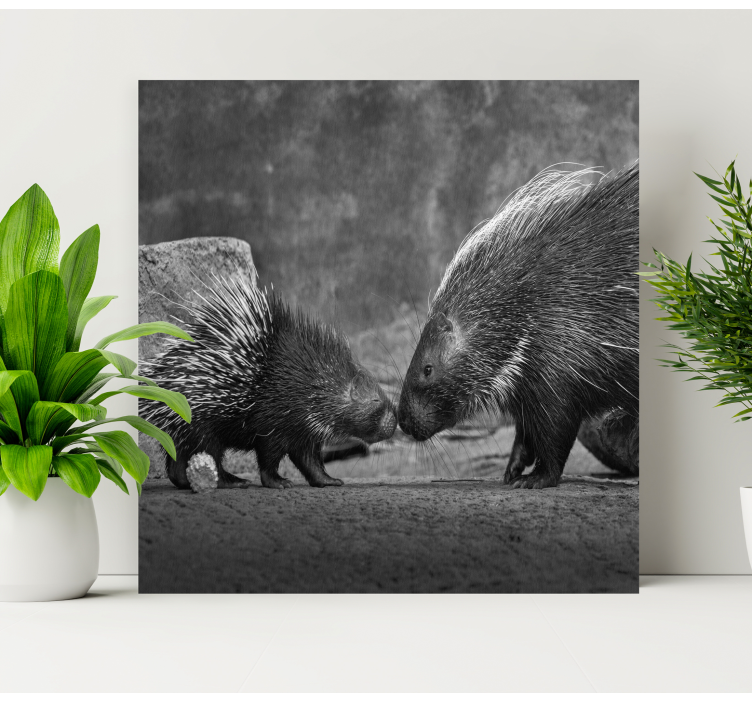 Porcupine with baby animal canvas prints - TenStickers
