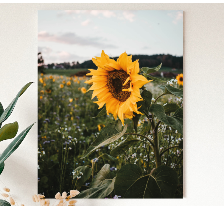 Sun flower landscape flower canvas - TenStickers
