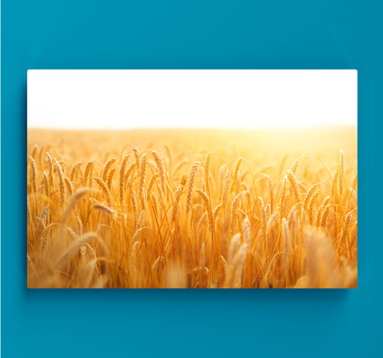 Wheat field aesthetic colours landscape canvas - TenStickers