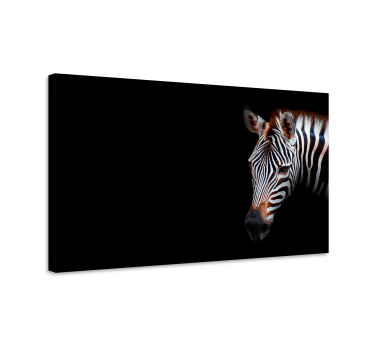 Pop Art zebra canvas prints - TenStickers