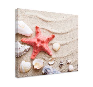 Starfish and shells on sand Sea life canvas wall art - TenStickers