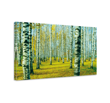 Birk forest wall prints for living room - TenStickers