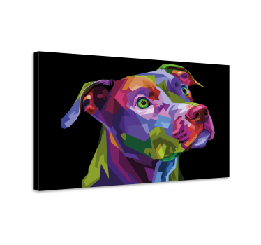 Multicolor modern pitbull dog canvas pictures - TenStickers