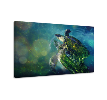 2 turtles in the sea fish canvas art - TenStickers
