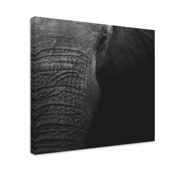Elegant dark olifant  elephant canvas art - TenStickers