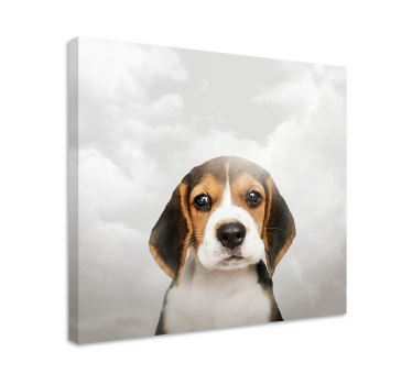 Sad dog canvas pictures - TenStickers
