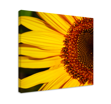 Half sunflower floral canvas - TenStickers