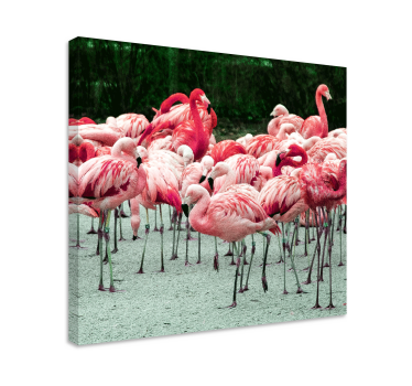 Bird canvas wall art flamingo flock - TenStickers