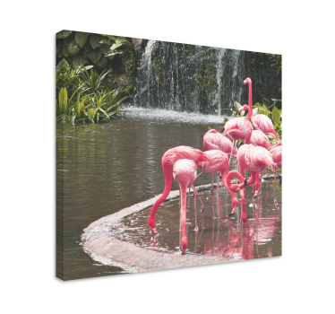 Bird canvas wall art flamingo flock pool art - TenStickers