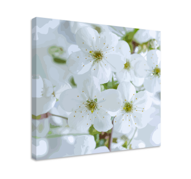 White pastel colors beautiful petals floral canvas - TenStickers