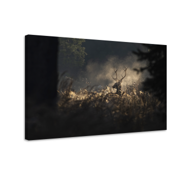 Stag canvas regal stag outline art print - TenStickers