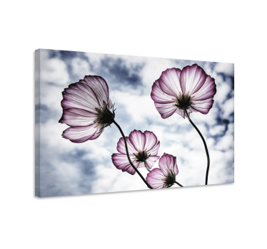 Elegant purple cosmos flower design floral canvas - TenStickers