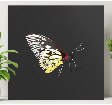 Butterfly canvas elegant butterfly silhouette - TenStickers