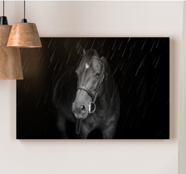 Dignified horse in the rain framed horse pictures - TenStickers