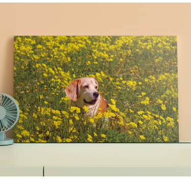 Dog wall art happy dog in nature - TenStickers
