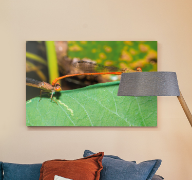 Dragonfly canvas pair of dragonflies - TenStickers