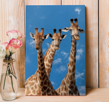 Giraffes Trio Portrait animal canvas wall art - TenStickers