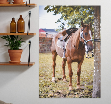 Horse under a tree canvas print - TenStickers