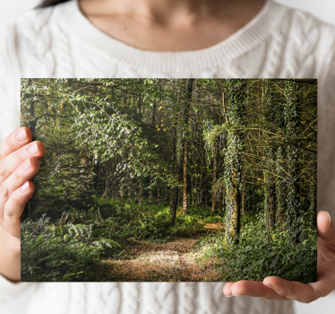 Landscape canvas woodland trail scene - TenStickers