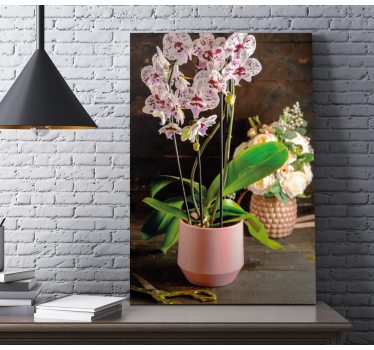 Orchid flower in pot floral canvas - TenStickers