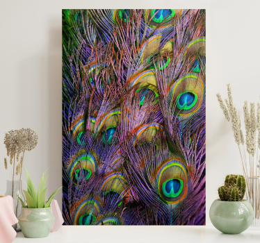 Peacock feather bird canvas wall art - TenStickers