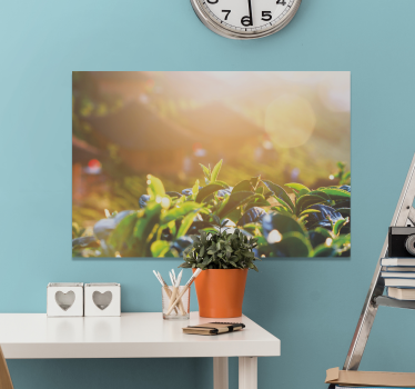 Sunlit Rainforest wall prints - TenStickers