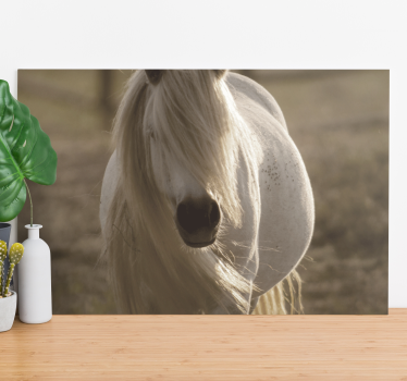 White face horse  animal canvas - TenStickers