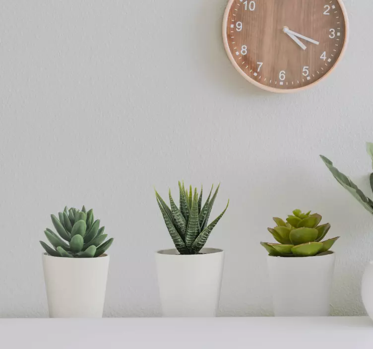 3D Cacti Pots Wall Mural stickers - TenStickers