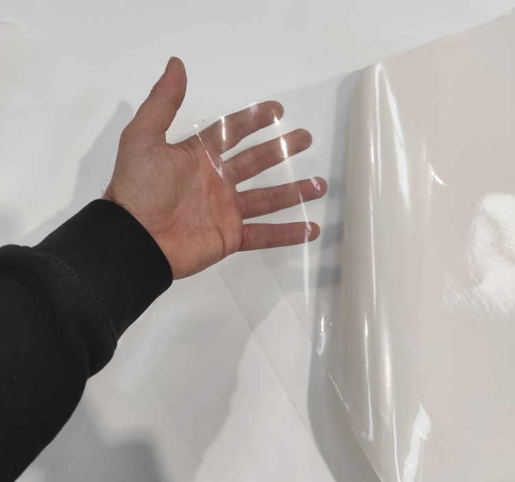 Transparent Transparent means allowing light to pass through so t - TenStickers