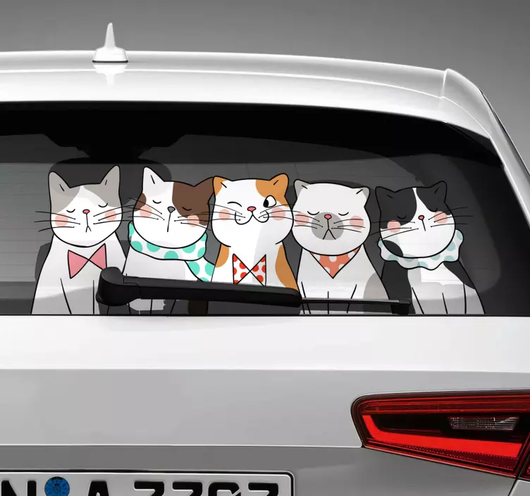cat hovering Car vinyl Sticker - TenStickers