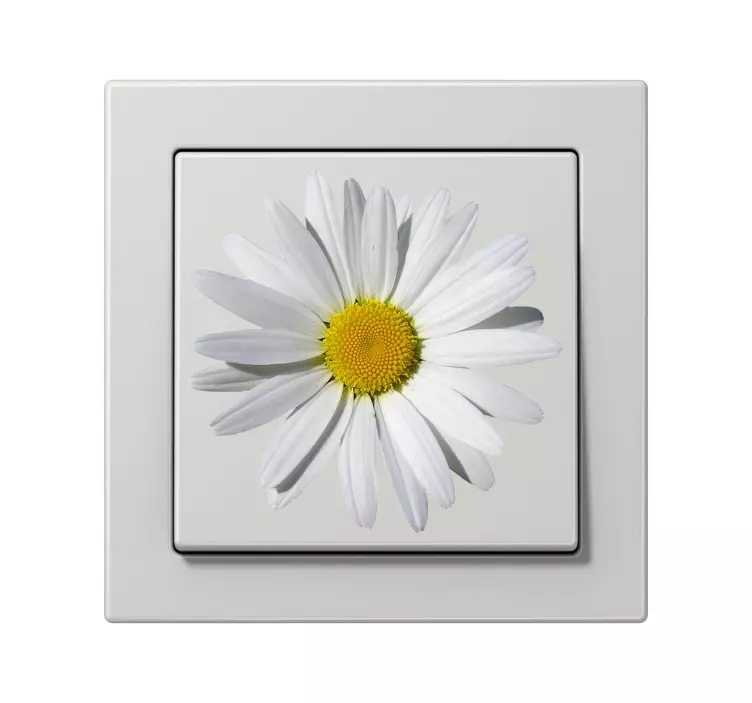 Daisy Light Switch Decal - TenStickers