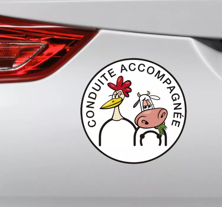 funny driving car sticker - TenStickers