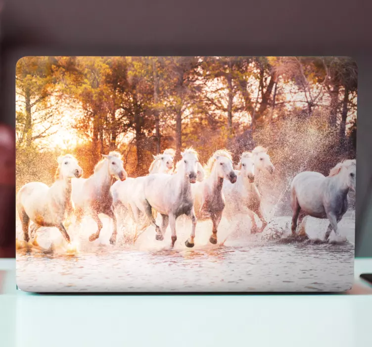 Wild horses warm sunset view laptop skin - TenStickers