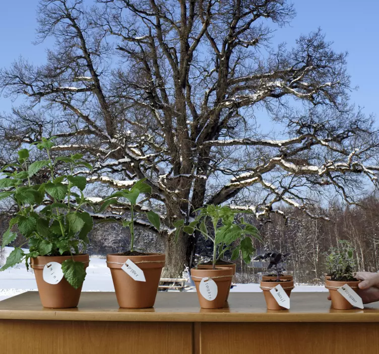 Winter Tree Wall Mural - TenStickers