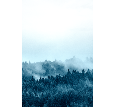 misty forest window sticker - TenStickers