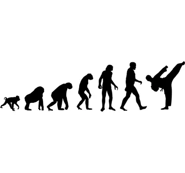 Karate Evolution Karate - TenStickers