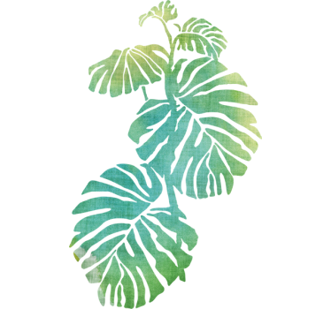 Monstera Deliciosa Wall Sticker - TenStickers