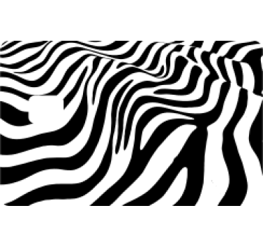 Zebra print original credit card sticker - TenStickers