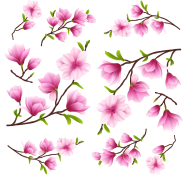 Colorful magnolia flowers window sticker - TenStickers