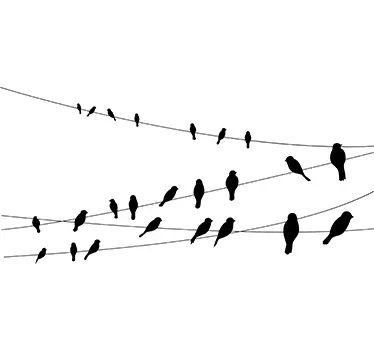 Birds on a Line Window Sticker - TenStickers
