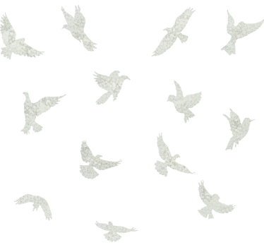 Window sticker romantic birds - TenStickers
