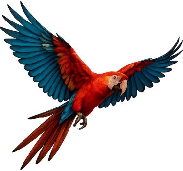 Tropical bird window sticker - TenStickers