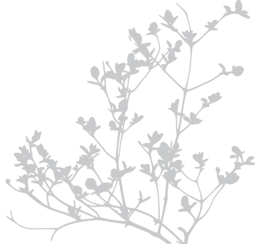 Window sticker elegant leaf silhouette - TenStickers