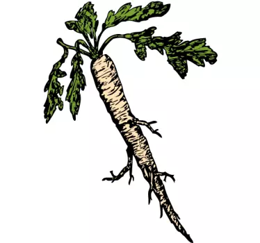 White Carrot Illustration Decal - TenStickers