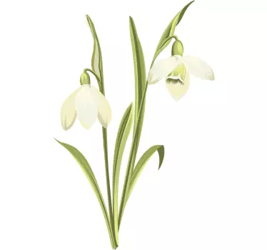 Snowdrop plant flower wall decal - TenStickers