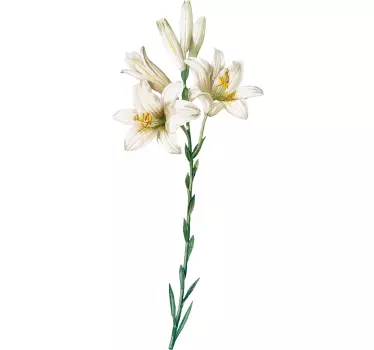 Vintage madonna lily flower wall decor - TenStickers
