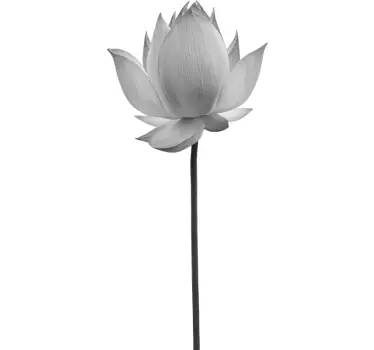 Greyscale Lotus flower wall decor - TenStickers